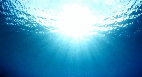 海洋 冒险 潜水 太阳耀斑 潜水的GIF 阳光 海洋的GIF 太阳眩光的GIF 太阳的眩光