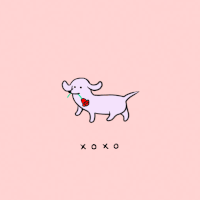可爱 狗 鲜花 萌