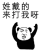 姓氏 熊猫人 暴漫 来打我呀 搞怪 姓氏你表情包