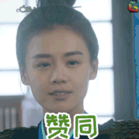 赞同 将军在上 soogif soogif出品