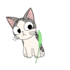 起司猫 小起 摇晃 玩耍