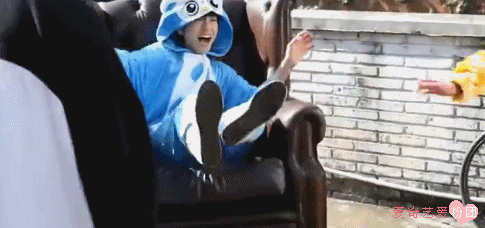 tfboys 可爱 动物装 萌萌哒 调皮 玩耍 明星爱豆
