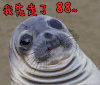 88 我先走了 走了 告辞