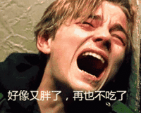 胖 好像又要胖了再也不吃了