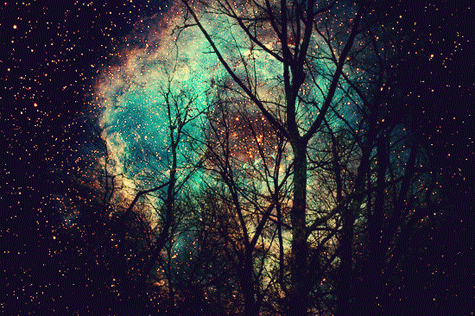 星星 stars nature 星云 彩色 树影