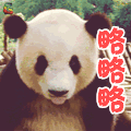大熊猫 萌宠 略略略 卖萌 soogif soogif出品