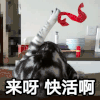 文字表情包 喵星人 萌宠 可爱 鬼畜