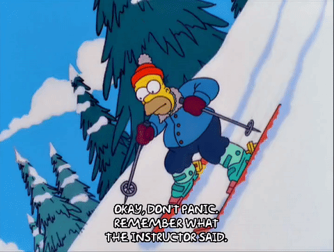 滑雪 荷马·辛普森 动画 森林