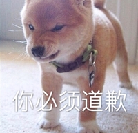 萌宠 汪星人 你必须道歉 我生气了 搞怪 逗