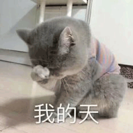 我的天 伤心 猫