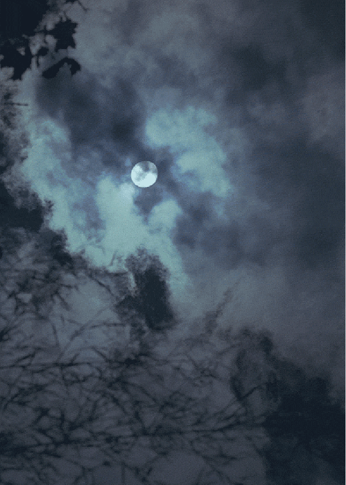 天空 夜晚 月亮 白云