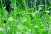 下雨 天气 美景 忧伤