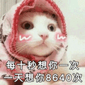 想你 猫