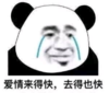 暴漫 文字表情包 爱情来得快去得也快 搞怪 沙雕 魔性