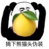 暴漫 熊猫头 柠檬 摘下熊猫头 搞怪 逗