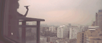 Cinemagraph 人物 纸飞机 创意