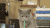 猫咪 喝奶 可爱 眼神
