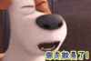 soogif 萌宠大作战 你走就是了 soogif出品