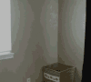 猫 玩耍 搞笑 跳跃
