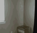 猫 玩耍 搞笑 跳跃
