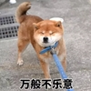 狗狗 万般不乐意 斗图 搞笑 不走别拉我