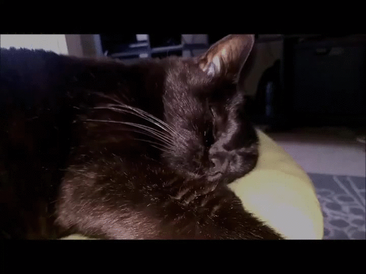睡觉 dreaming