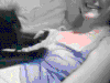 猫咪 萌宠 推胸 按摩