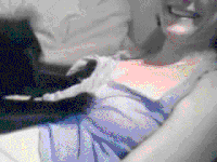 猫咪 萌宠 推胸 按摩