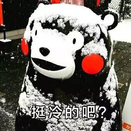 挺冷的吧 熊本熊 红脸蛋 雪花