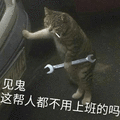 见鬼 上班 不用 猫