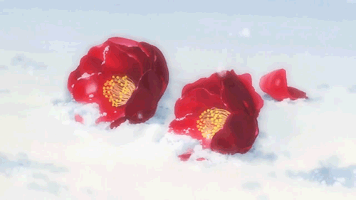 鲜花 爱情 甜美 幸福 下雪