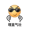 墨镜 耍酷 理直气壮 斗图 搞笑