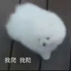 萌宠 汪星人 我爬我爬 毛茸茸 呆萌 可爱