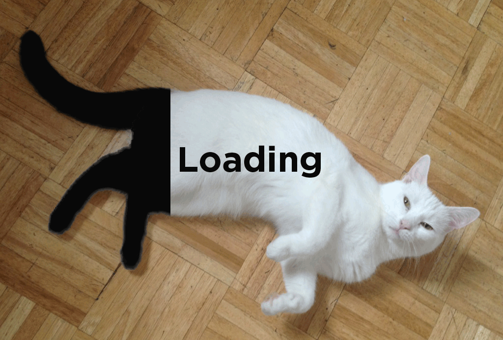 猫 萌宠 遮挡 Loading