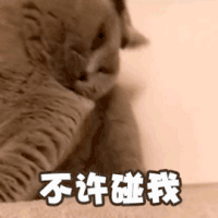 萌宠 猫星人 不许碰我 离我远点 搞怪 逗