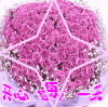 老年表情包 文字表情包 动态图 祝福话语 魔性