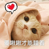 萌宠 喵星人 亲亲 猫 搞怪 可爱