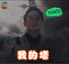 soogif soogif出品 三生三世十里桃花 刘亦菲 我的塔 就这么没了