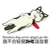 我不会轻易谈恋爱 搞笑 恶搞 可笑 黄子韬