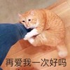 萌宠 猫星人 再爱我一次好吗 可怜 呆萌 可爱