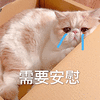 萌宠 猫咪 猫 喵星人 哭 需要安慰 伤心