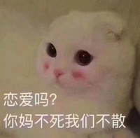 你妈不死我们不散 猫咪 大眼睛 红脸蛋