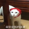 萌宠 猫星人 闻到金钱的味道 我来了 呆萌 可爱