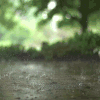 风景 雨 下雨 地面