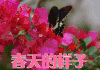 春天的样子