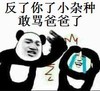 反了你了小杂种敢骂爸爸了 熊猫人哭泣 嚣张