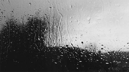 窗户 雨滴 大风 树木