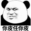金馆长 熊猫头 斜眼睛 你皮任你皮