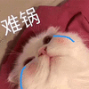 萌宠 猫咪 猫 喵星人 流泪 哭 伤心