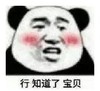 熊猫头 文字表情包 行知道了宝贝 搞笑 逗 沙雕